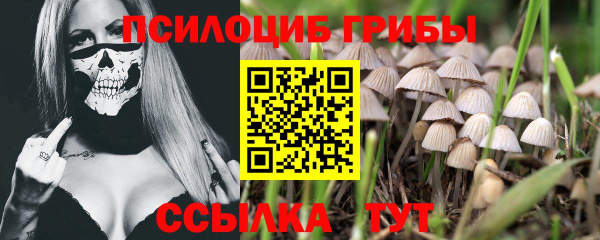Галлюциногенные грибы ЛСД Грязи